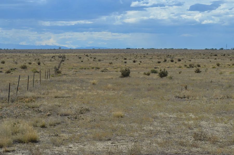 Dry, grassy plain with a wire fence. Cloudy sky in the distance, possibly mountains on the horizon.
