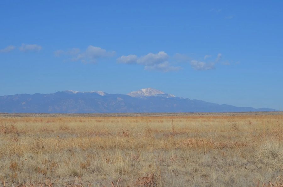 Grassy plain with snow-capped mountains under a bright blue sky with a few clouds.
