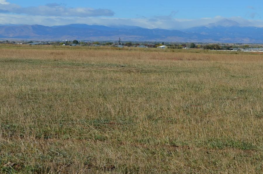 Vast grassy field with mountains in the background and a town in the distance under a blue sky.