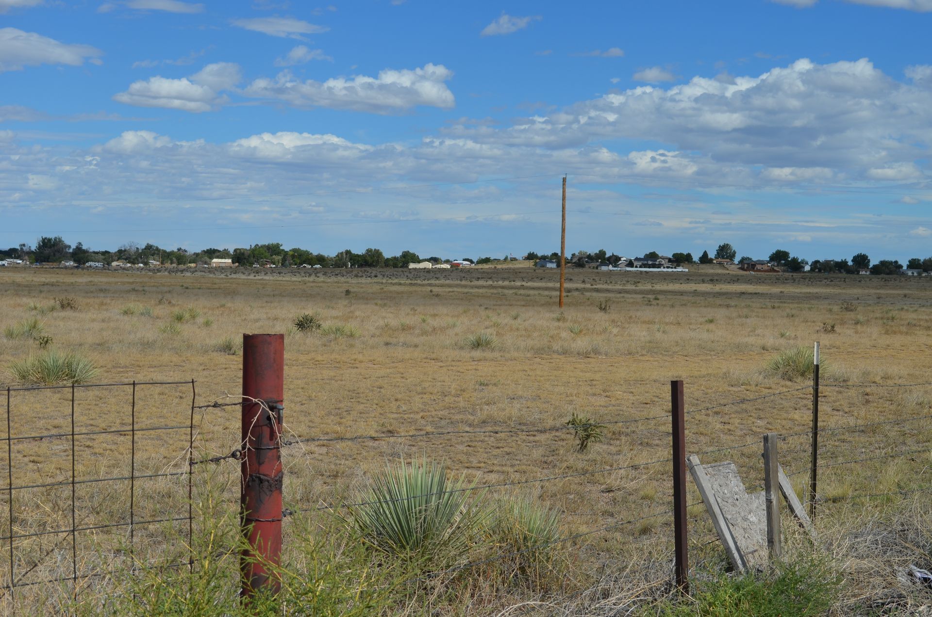 Vast dry grassy field under a clear blue sky, with low vegetation and a few distant trees on the horizon.