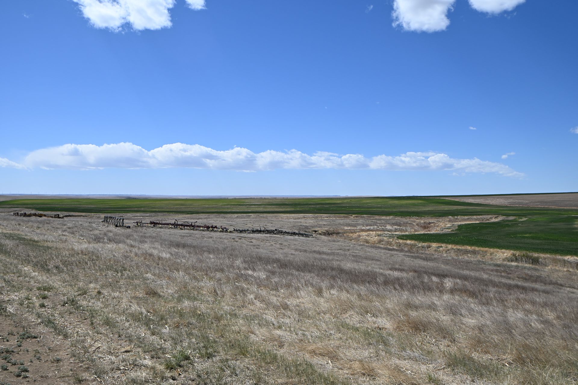 Open grassy field under a bright blue sky with scattered clouds