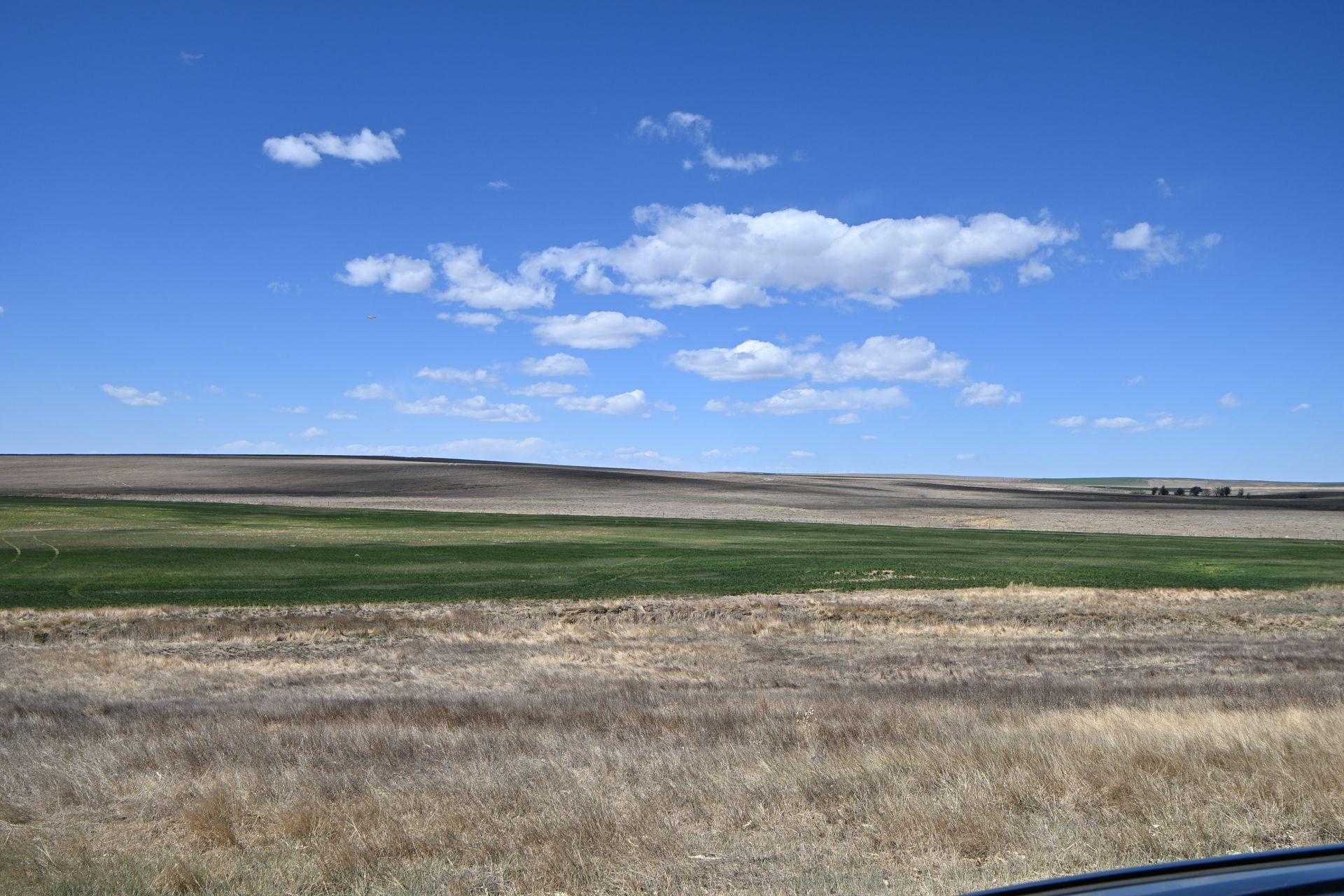 Wide open prairie field under a blue sky with scattered clouds and dry grass in the foreground