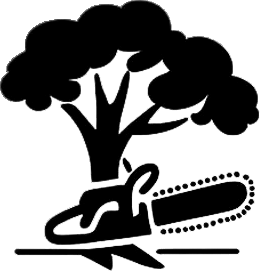 Meca Tree Service