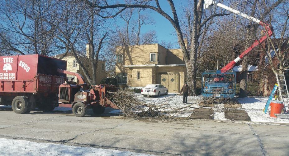 A red wood chipper truck and a crane truck work on tree trimming in a snow-covered suburban street.
