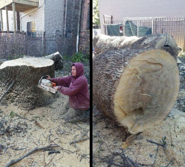 A person in a maroon hoodie uses a chainsaw on a large tree stump, with a cut log lying nearby on the grass.