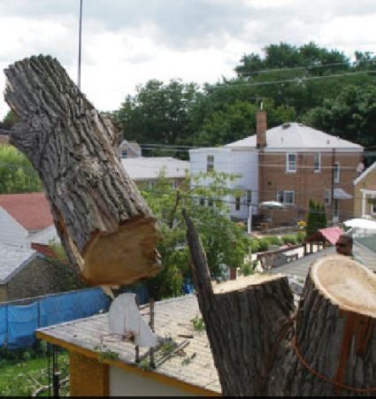 A large tree log suspended in mid-air over a residential roof, with a man standing nearby in an urban neighborhood.