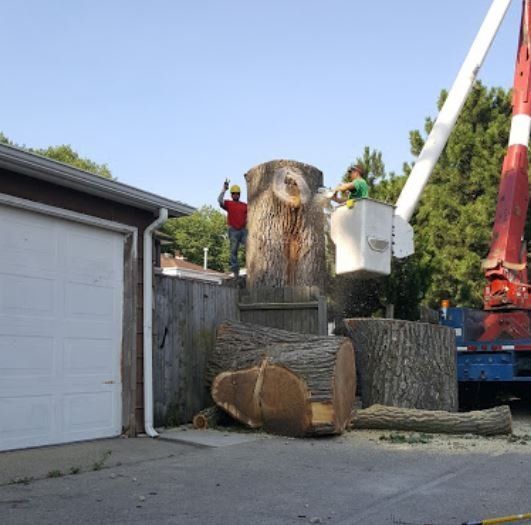 A worker in a red shirt stands by a large tree trunk as another operates an aerial lift to cut a tree near a garage.