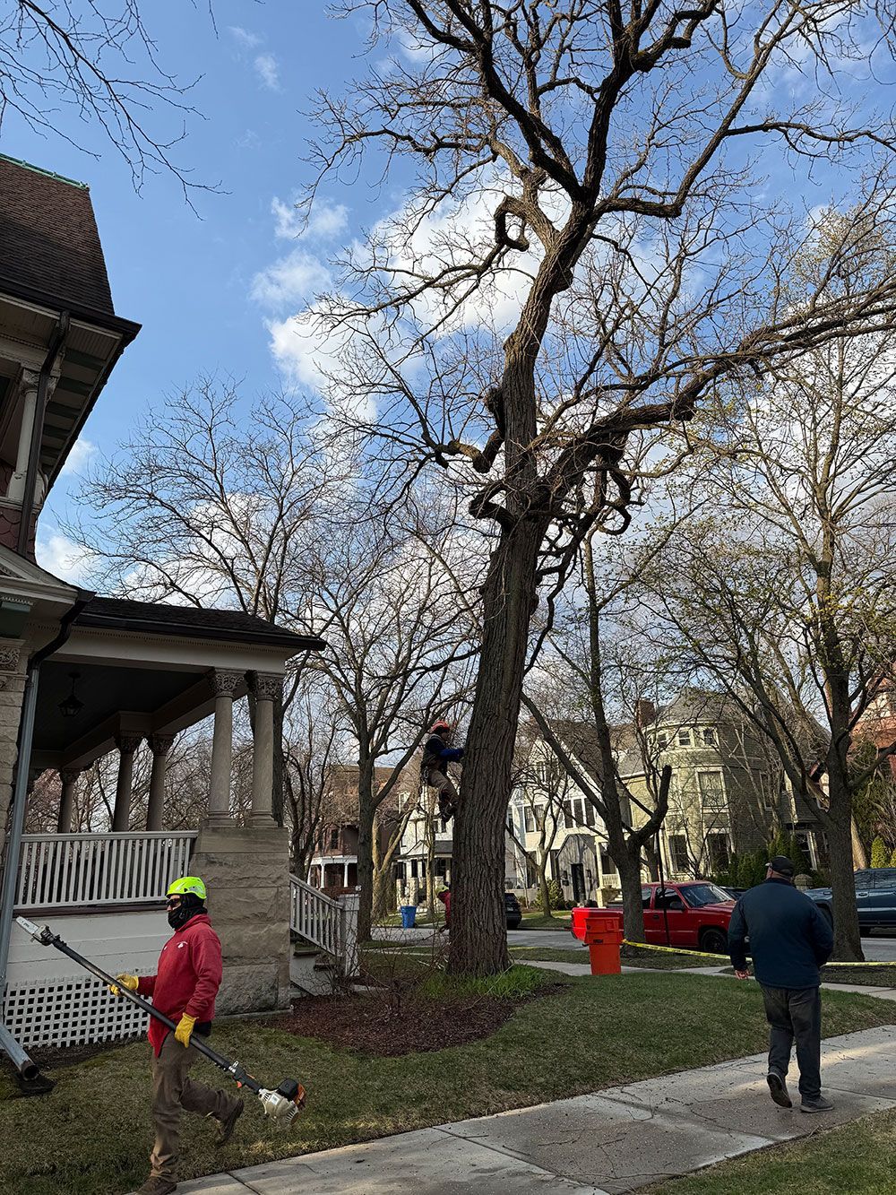 Workers in high-visibility gear trim a tall, leafless tree in front of a historic house on a sunny day.