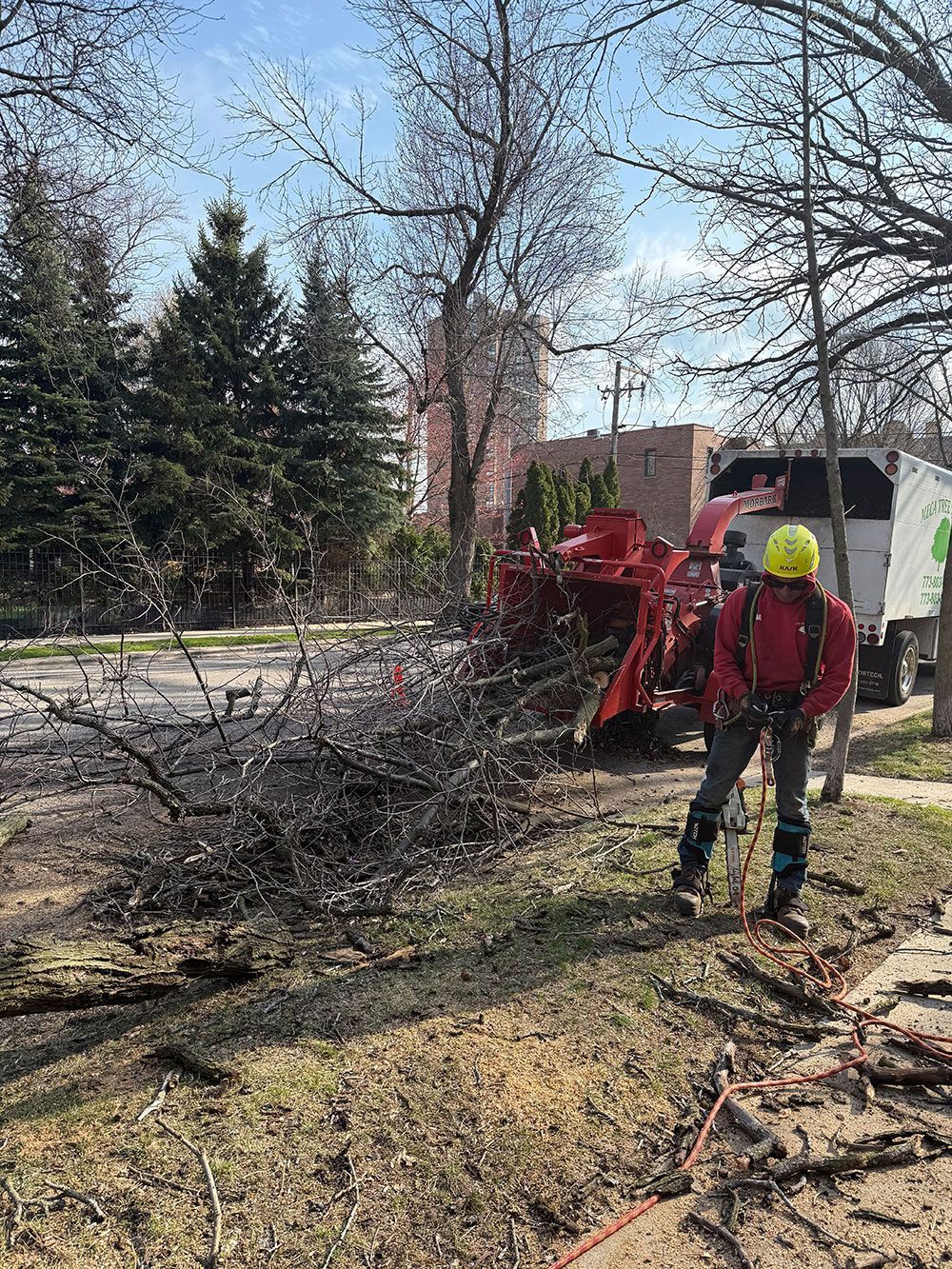 A worker in a high-visibility vest and helmet stands near a wood chipper processing tree branches on a sunny day.