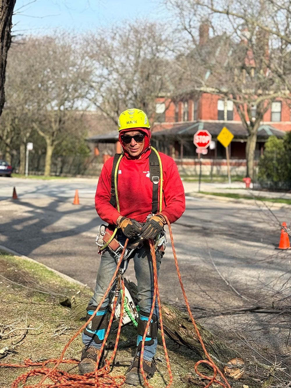 A person wearing a yellow hard hat, sunglasses, red hoodie, and climbing harness stands with ropes in an outdoor setting.
