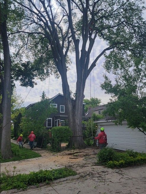 Workers in red jackets clearing fallen tree branches from a suburban street near homes.