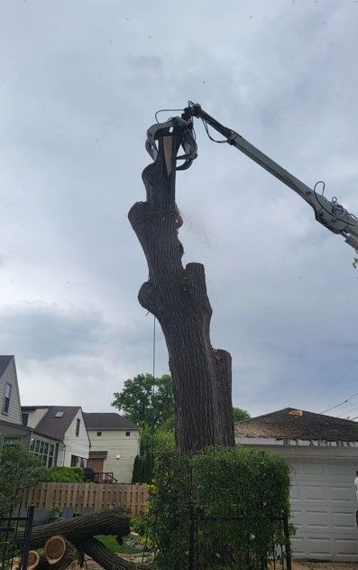 Tree being cut down with a crane in a suburban yard under an overcast sky