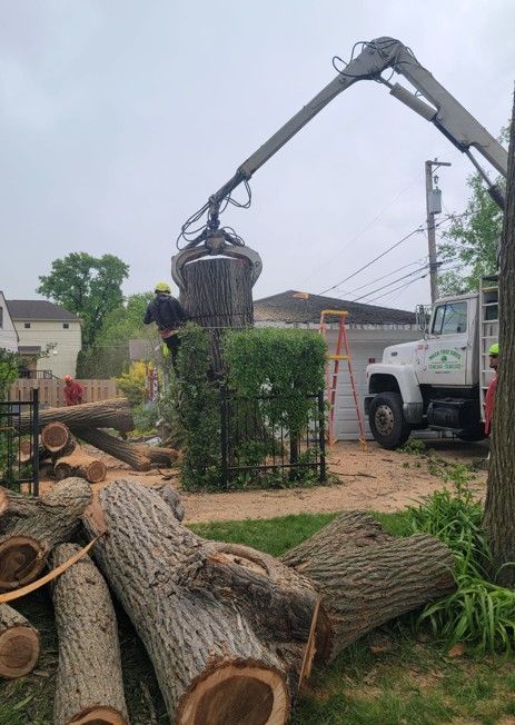 Tree trimming truck lifting cut branches beside a house and hedge by the roadside