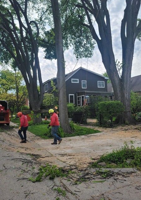 Two workers in red shirts clear branches on a tree-lined street outside a gray house.