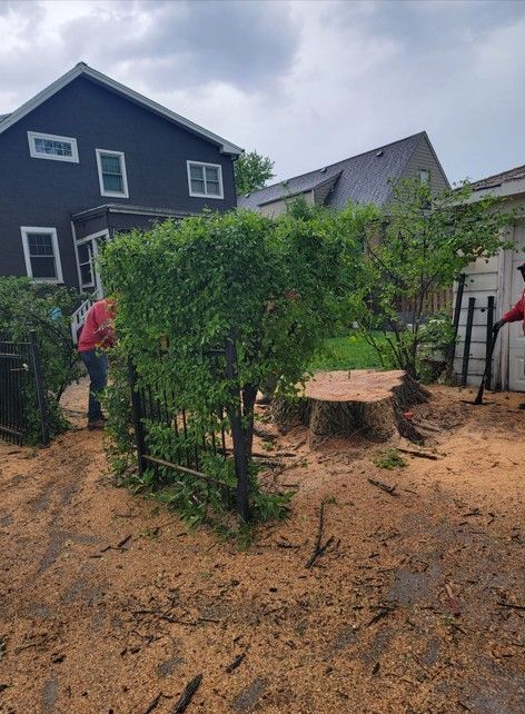 Rainy backyard with a green vine-covered pergola, tree stump table, and houses in the background