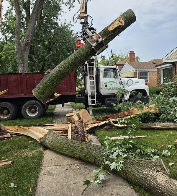 Tree crew lifting a large felled trunk onto a truck in a suburban yard with cut logs on the ground