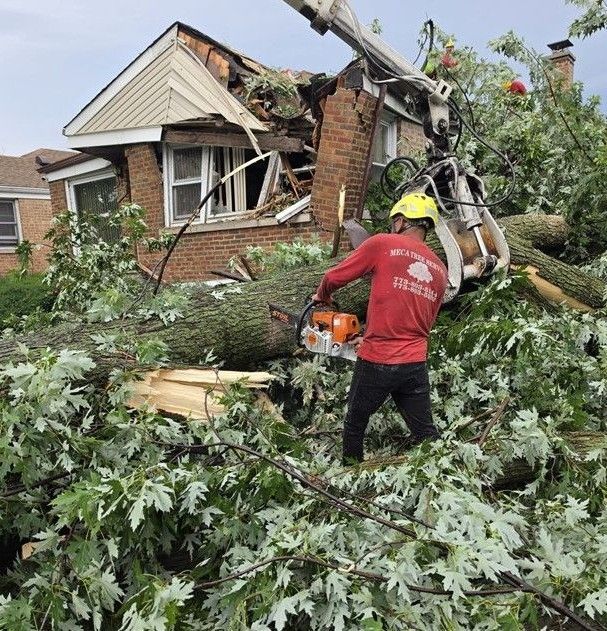 Tree crew clearing storm debris beside a damaged brick house, using a chainsaw and a crane.