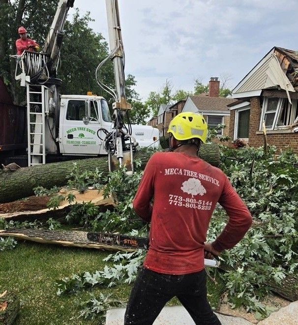 Tree removal crew cutting a fallen tree beside a house, with a worker in a yellow helmet directing.