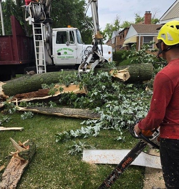 Tree service crew clearing large fallen branches on a suburban street beside a white truck and houses