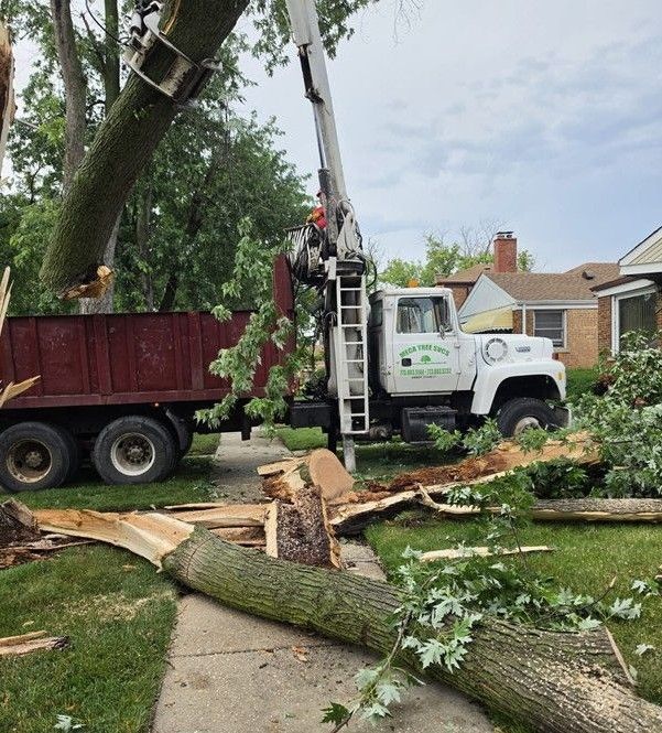 Tree removal crew with crane and truck clearing a fallen tree in a residential yard