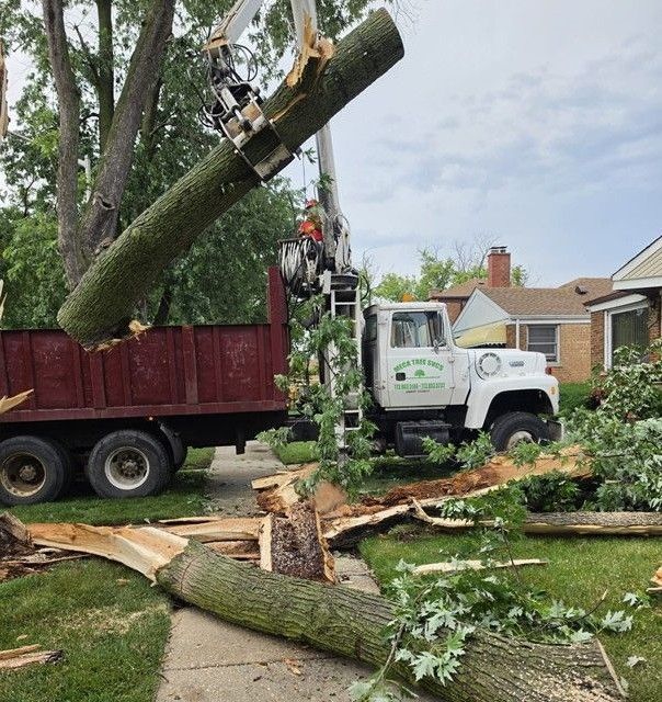 Tree removal crew lifting a large cut trunk onto a truck in a suburban yard