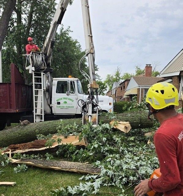 Tree crew clearing storm debris beside a truck in a residential yard, with fallen branches in the foreground
