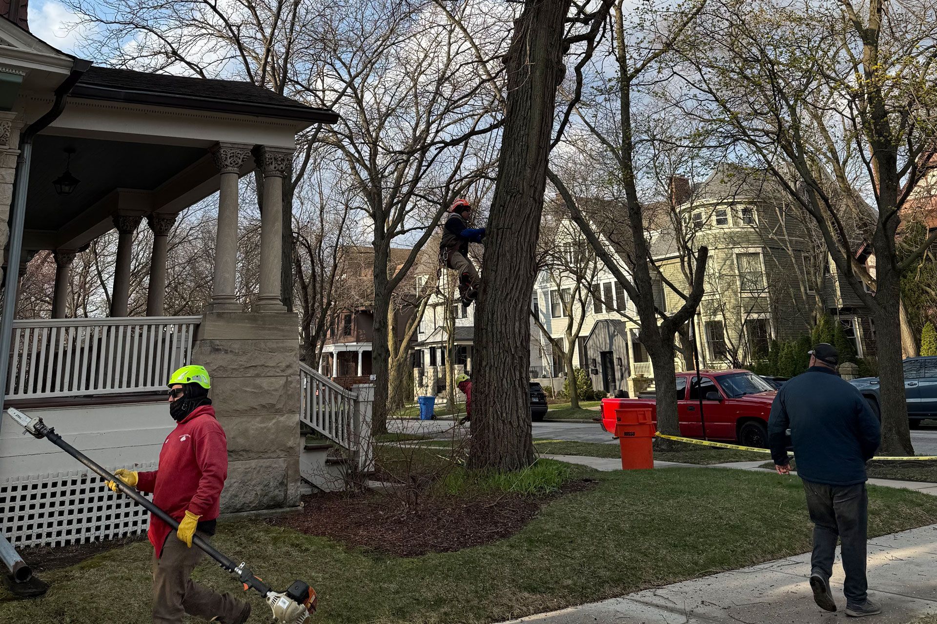 Meca Tree Service