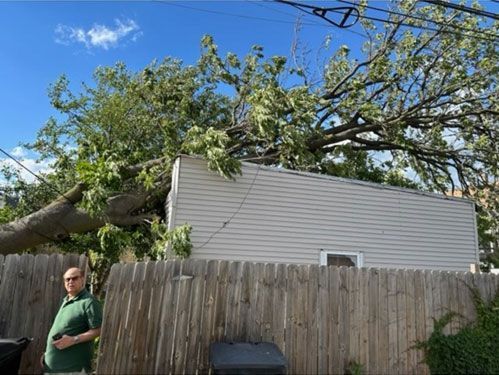 A large tree has fallen onto the roof of a house next to a wooden fence, with a person standing in the foreground.