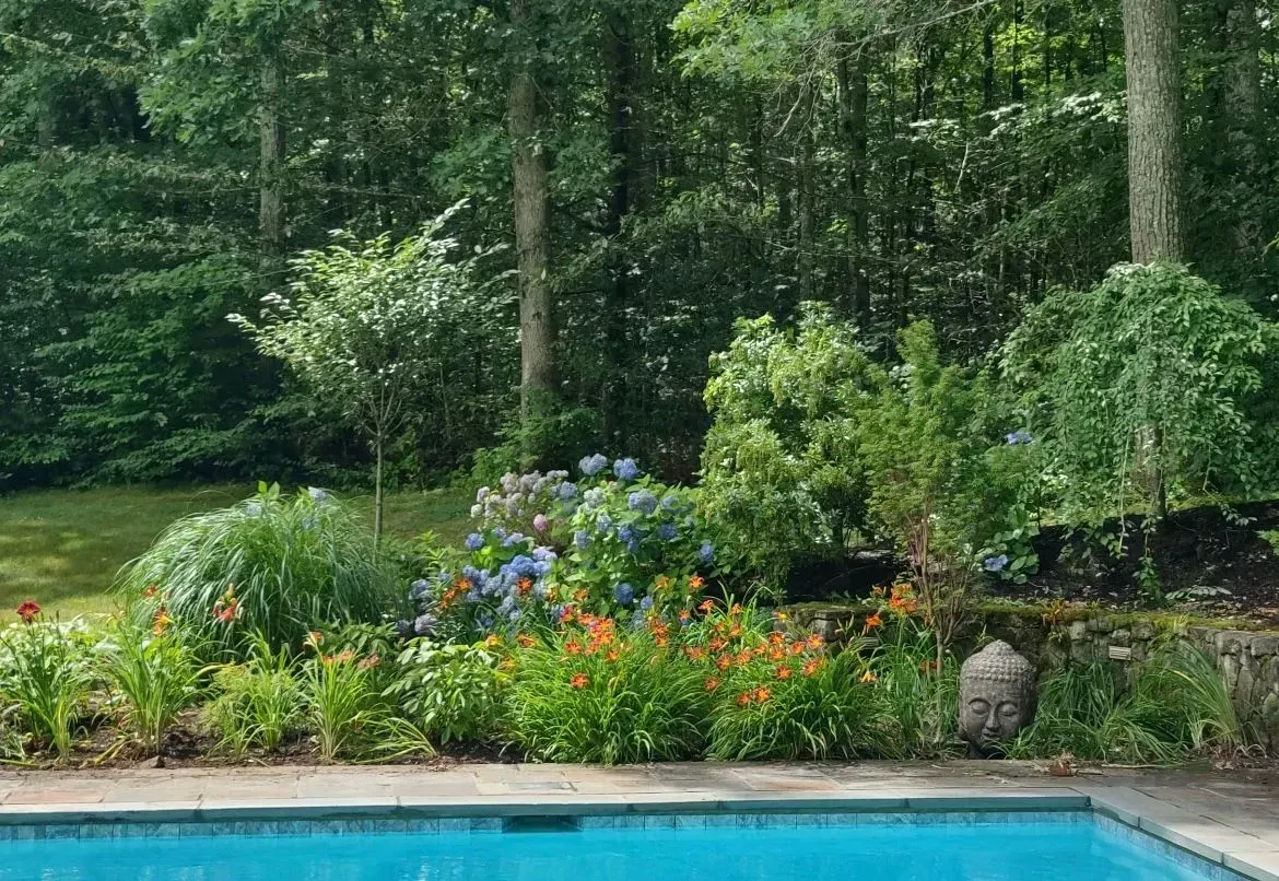 A vibrant garden with blue and orange flowers borders a pool, lush green trees in the background.