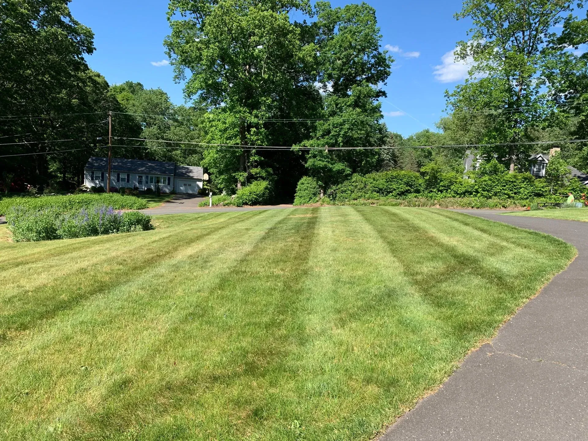 Lawn mowed with alternating stripes; trees, house, and walkway visible in background. Sunny day.