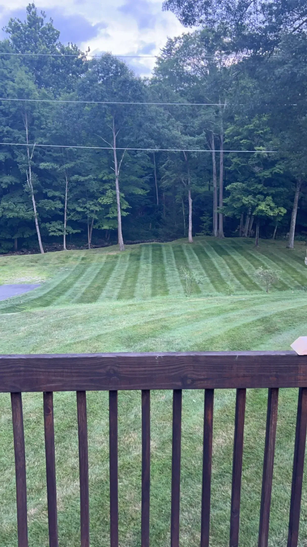 A freshly mowed lawn with striped patterns, framed by a wooden deck railing, with trees in the background.