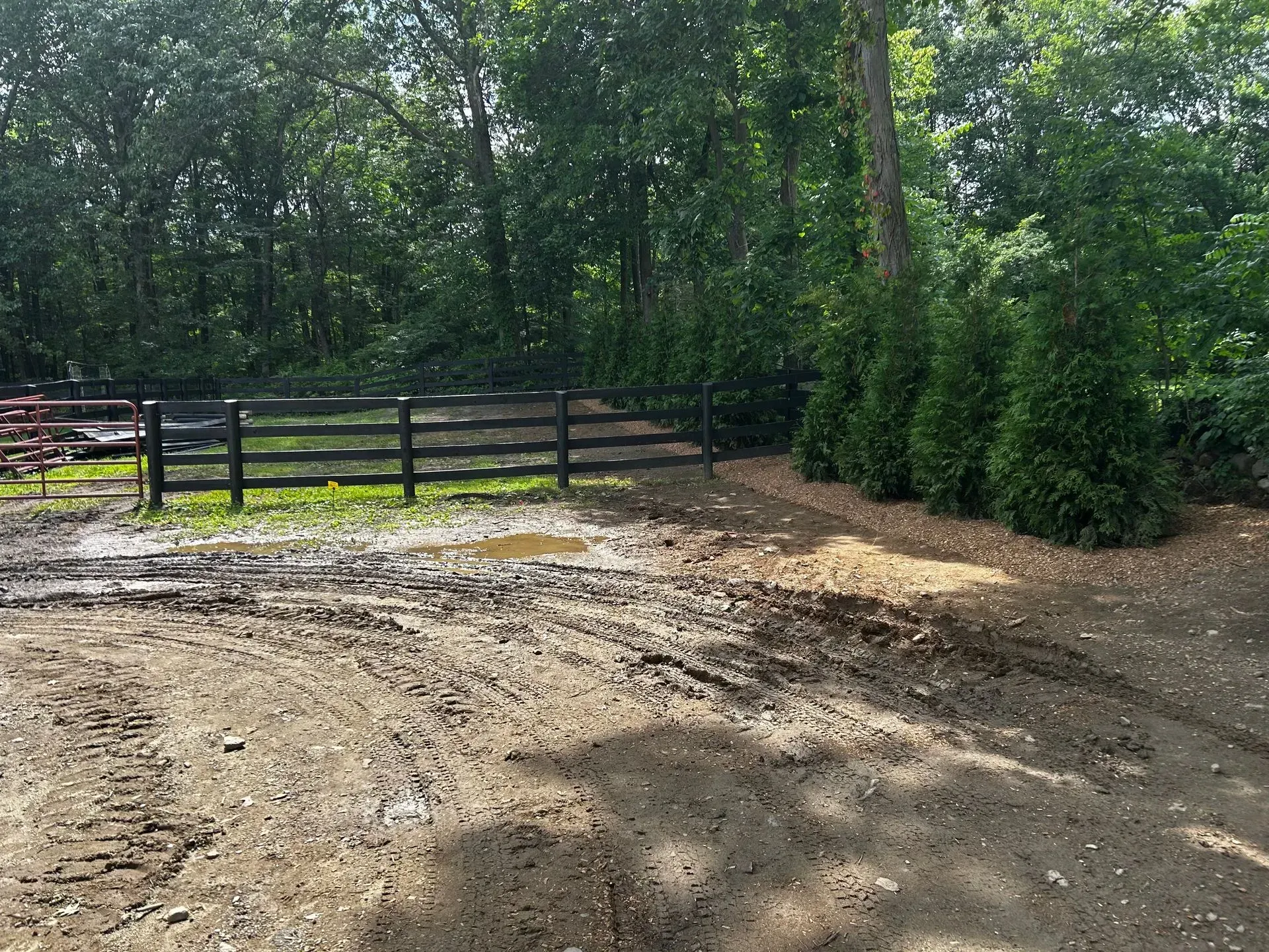 Muddy clearing with dark fence and evergreen trees, leading to a wooded area.