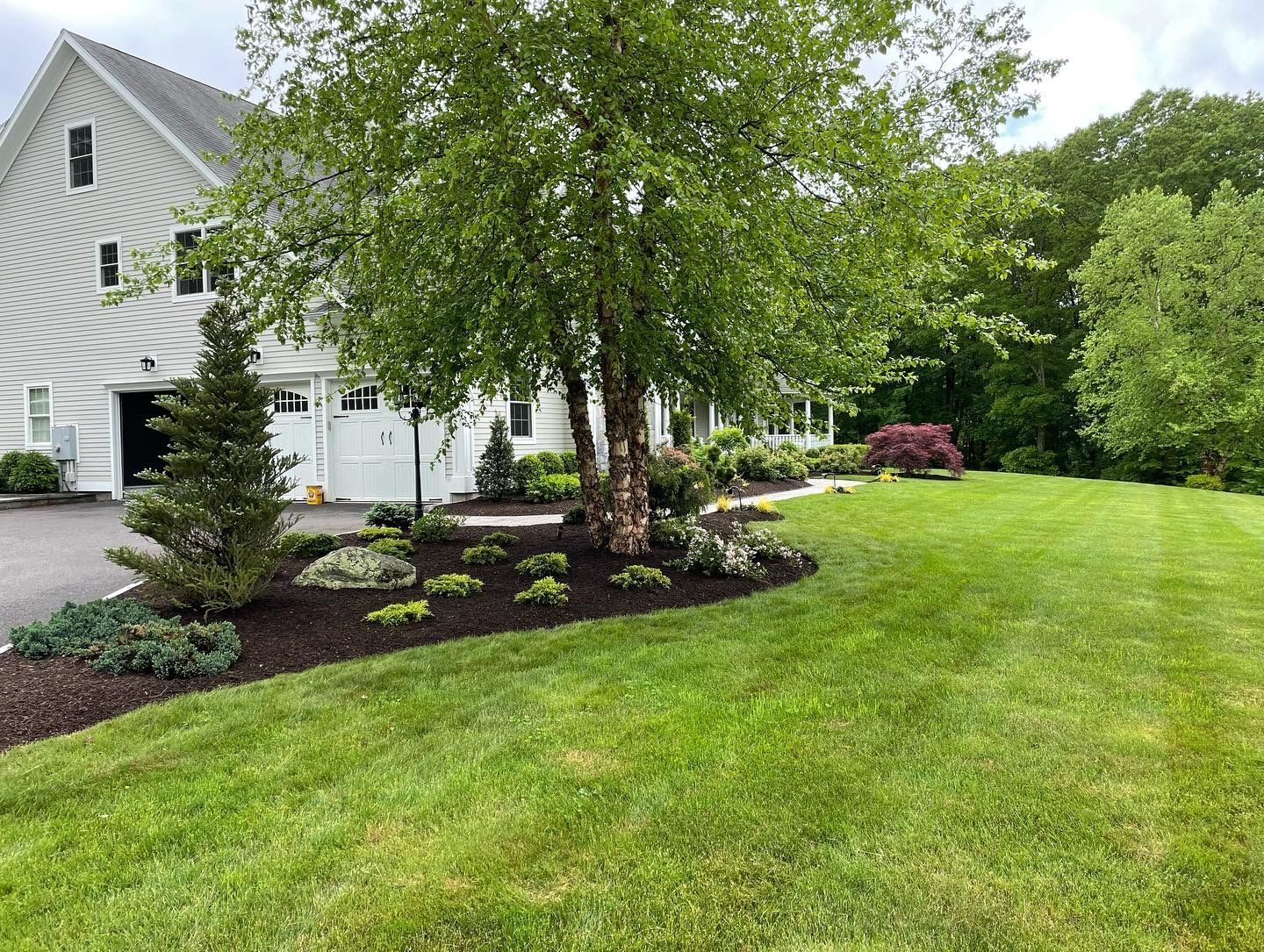 A white house with a garage, a dark mulched garden bed with shrubs and a birch tree, and a lush green lawn.