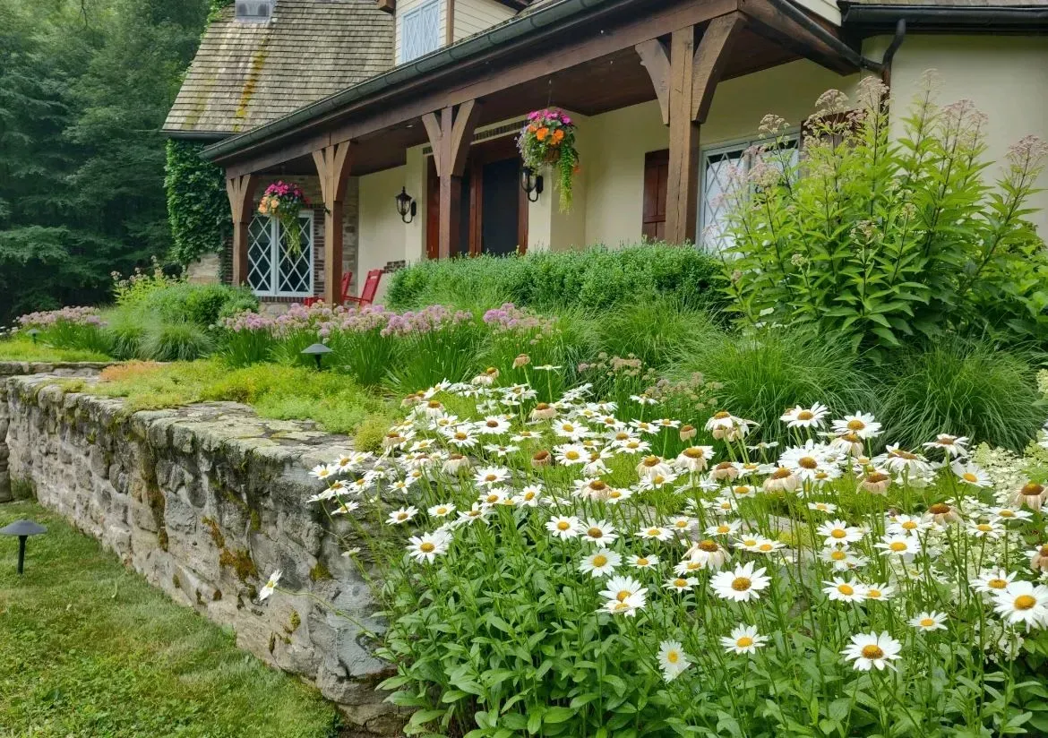 Stone home with porch, surrounded by a lush garden of daisies and other flowers. Green foliage in foreground.