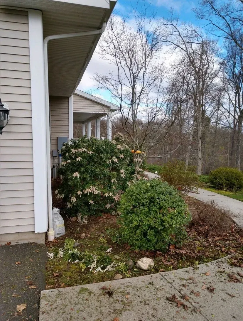 Exterior of a building with overgrown bushes next to a walkway; cloudy sky.