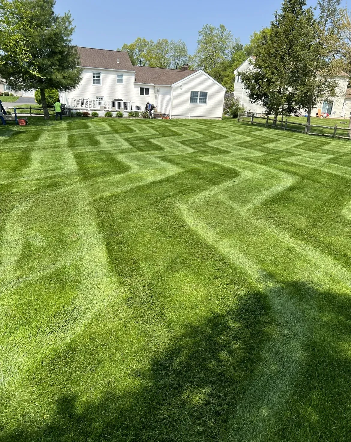 A lawn with complex, zigzagged mow lines leading toward a white house with trees in the background under a blue sky.