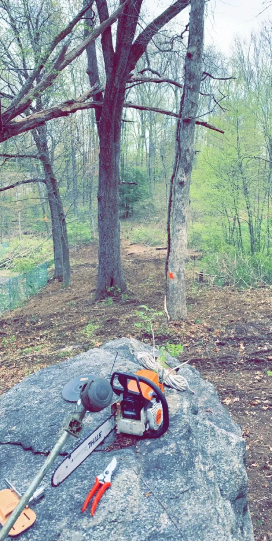 A chainsaw, string trimmer head, and hand pruners rest on a large boulder in a wooded clearing.