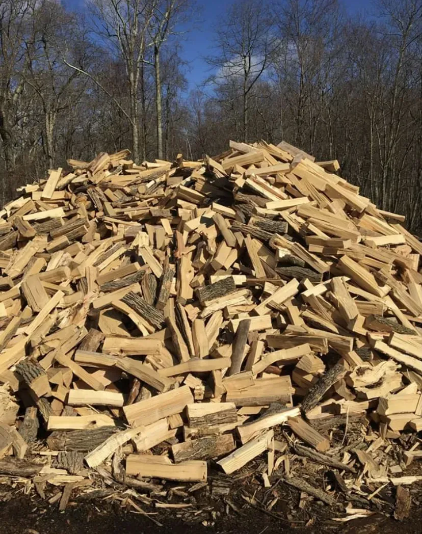 A large, chaotic pile of split firewood sits in a clearing surrounded by a forest under a clear blue sky.