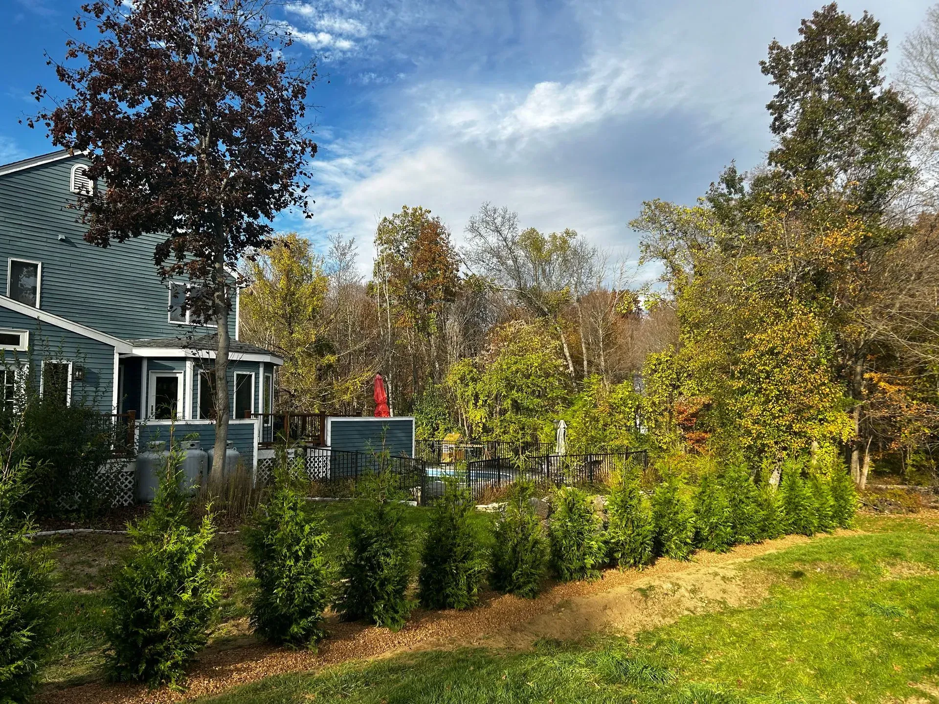 Blue house with trees, bushes, and lawn in a yard on a partly cloudy day.