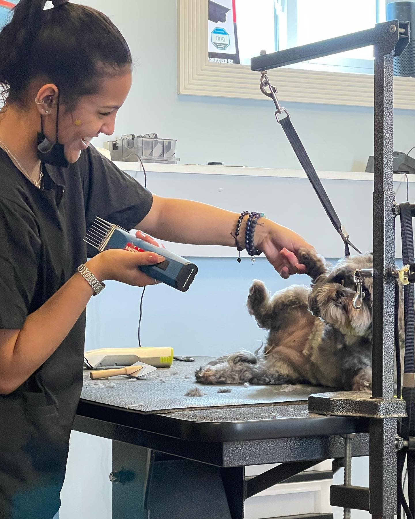 dog grooming