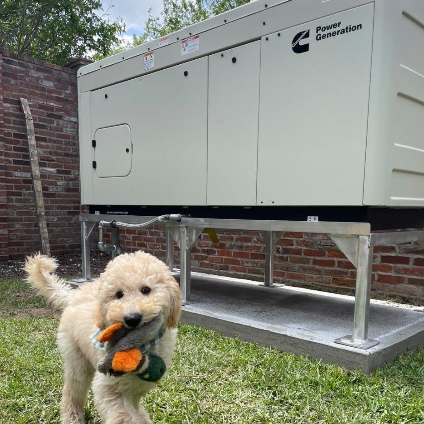 Gulf Coast Power Inc