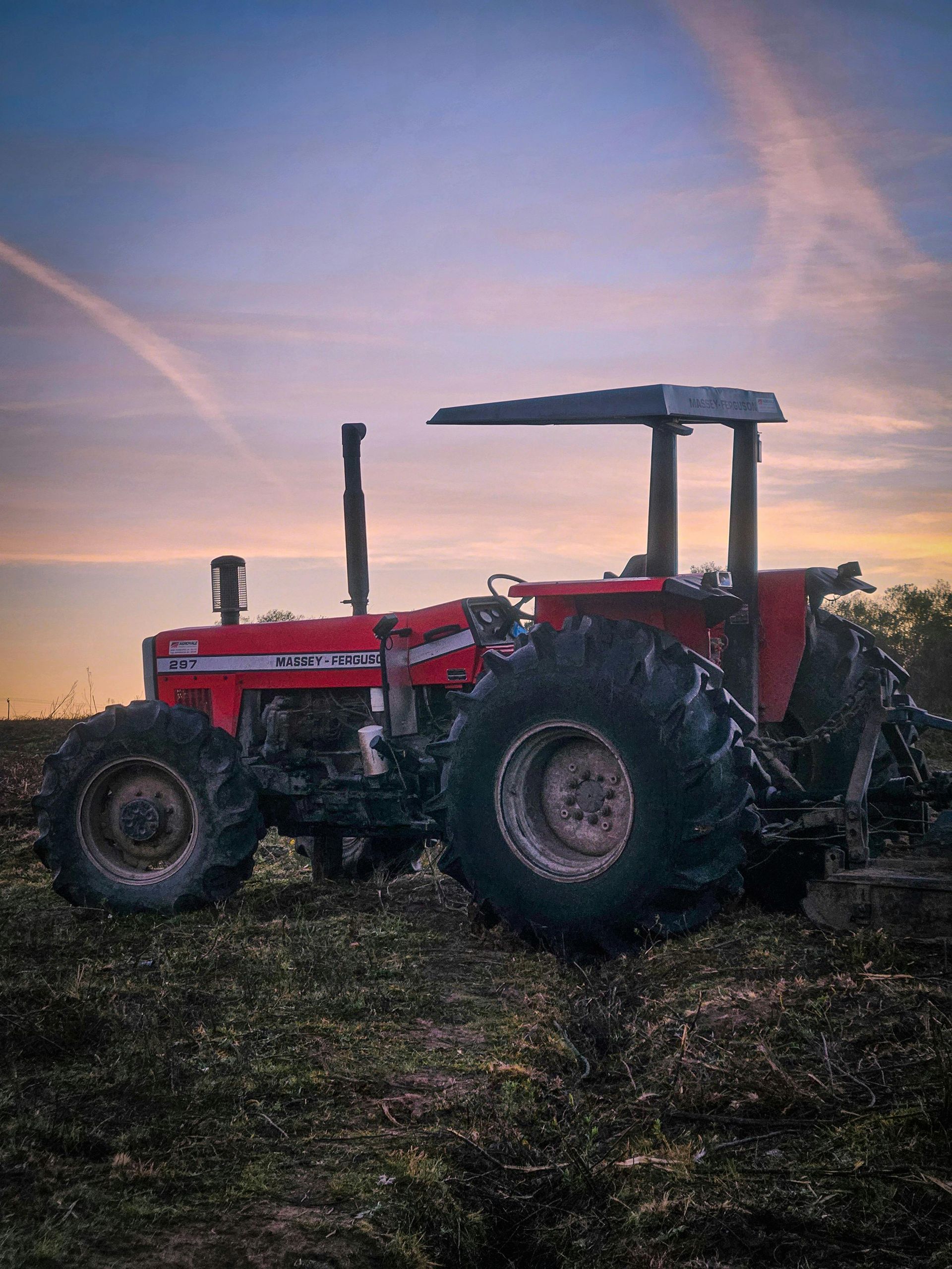 Red Massey Ferguson tractor in a field at dusk.