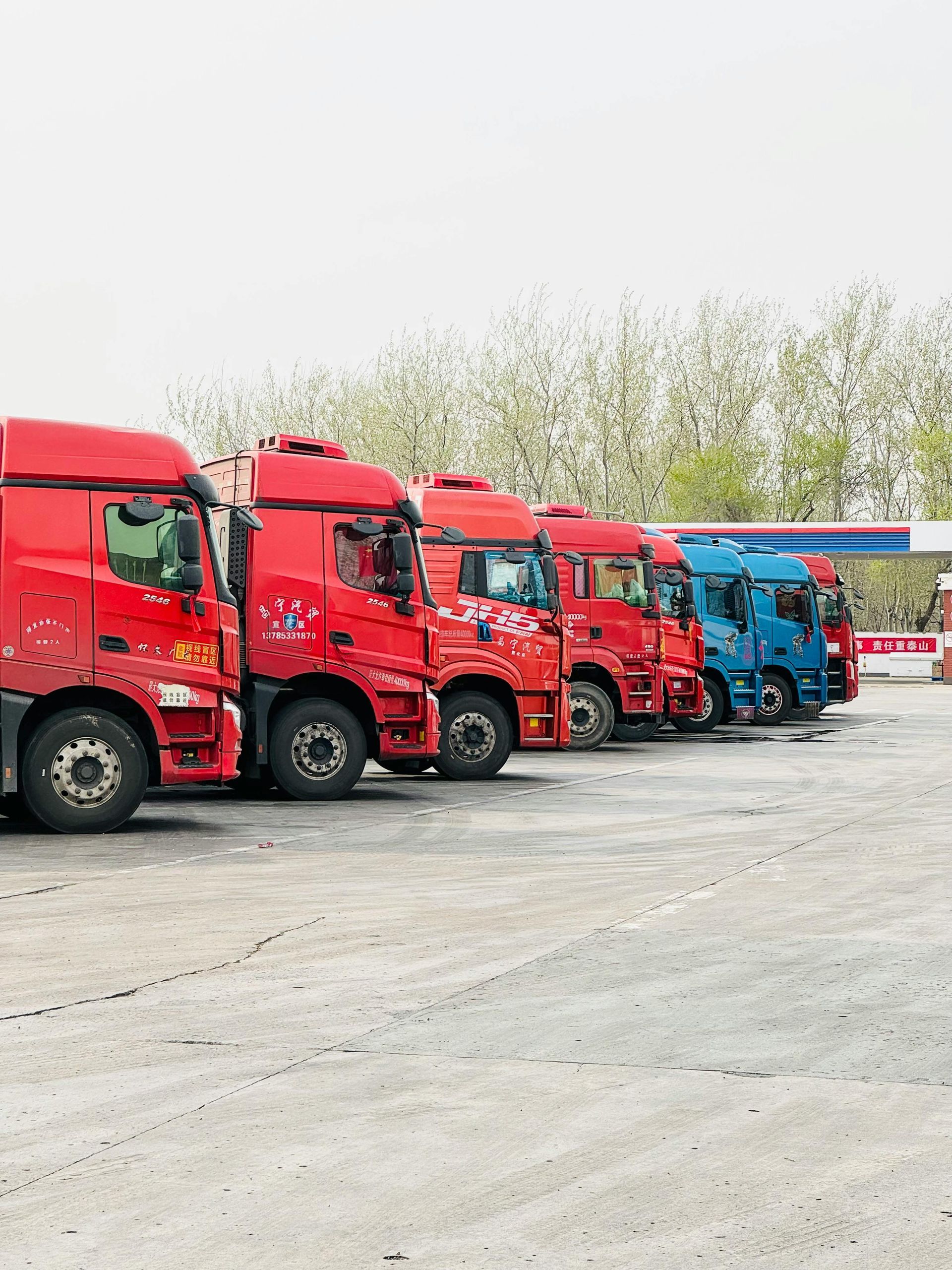 Red and blue semi-trucks parked in a row in a gravel lot on an overcast day.