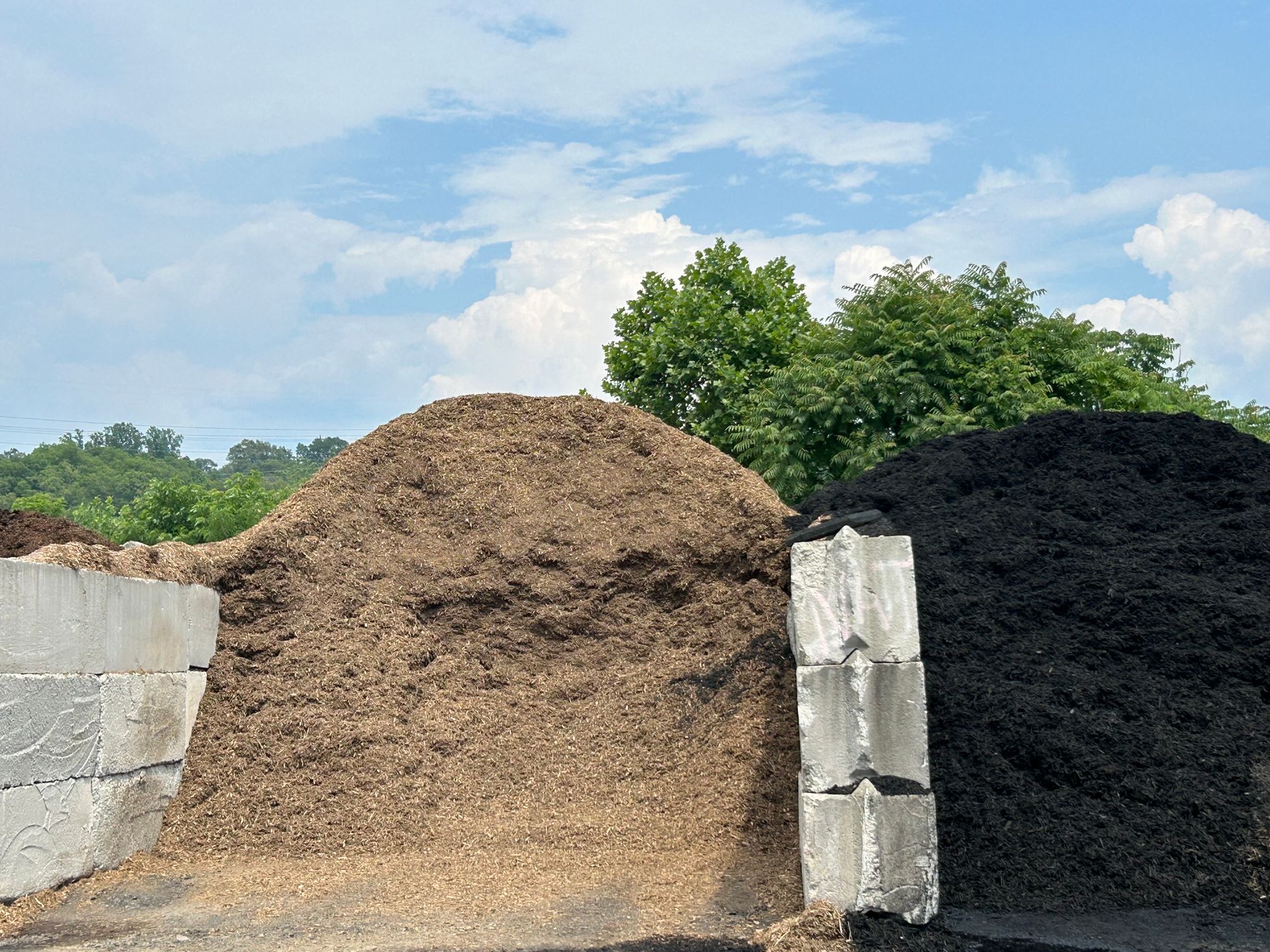 mulch pile