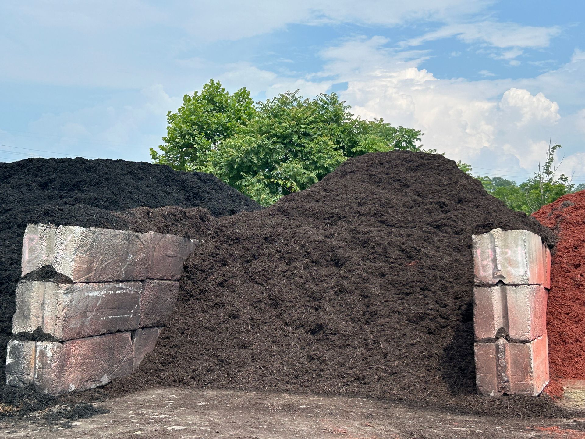 Mulch pile