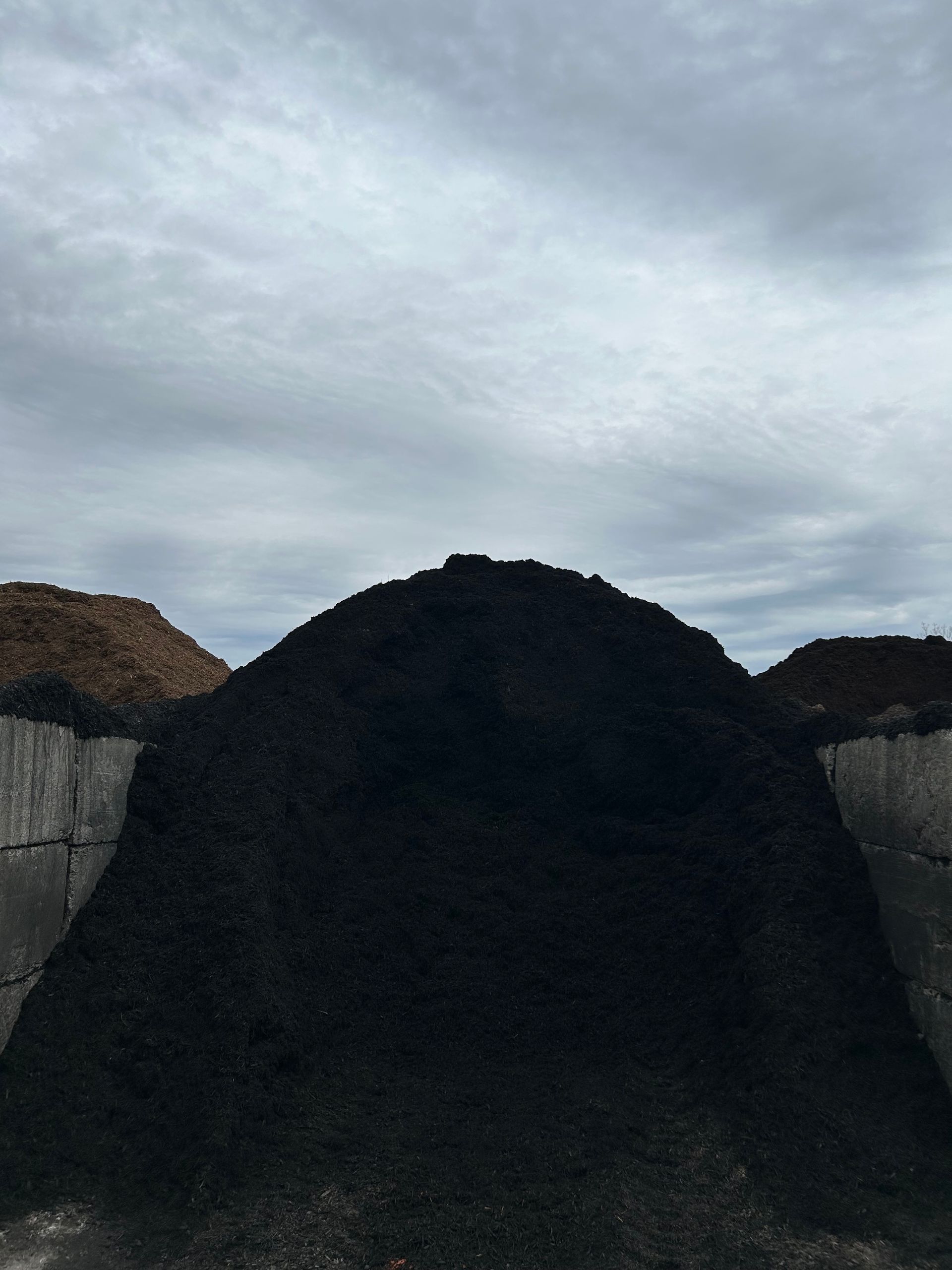 black mulch