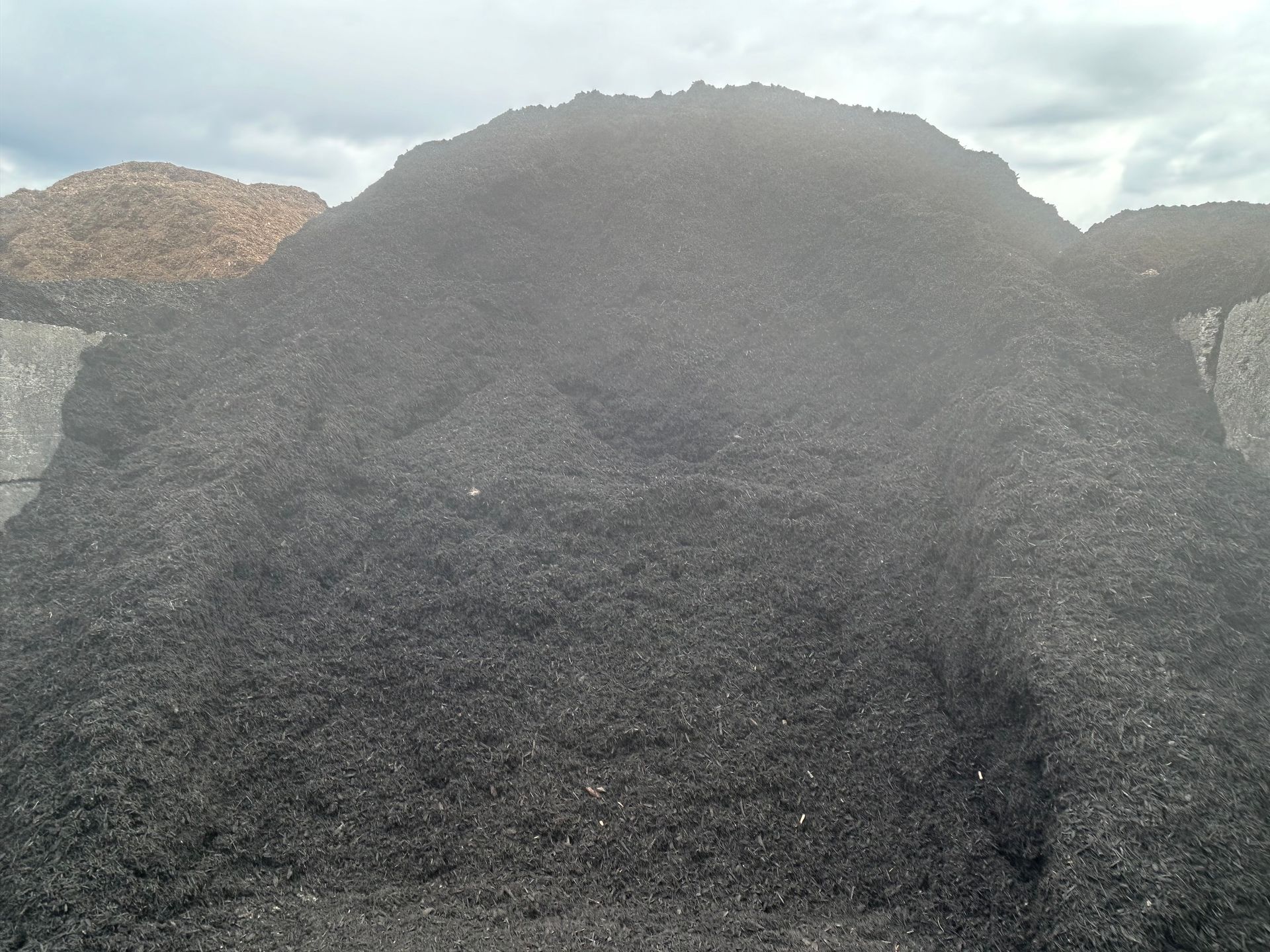 black mulch