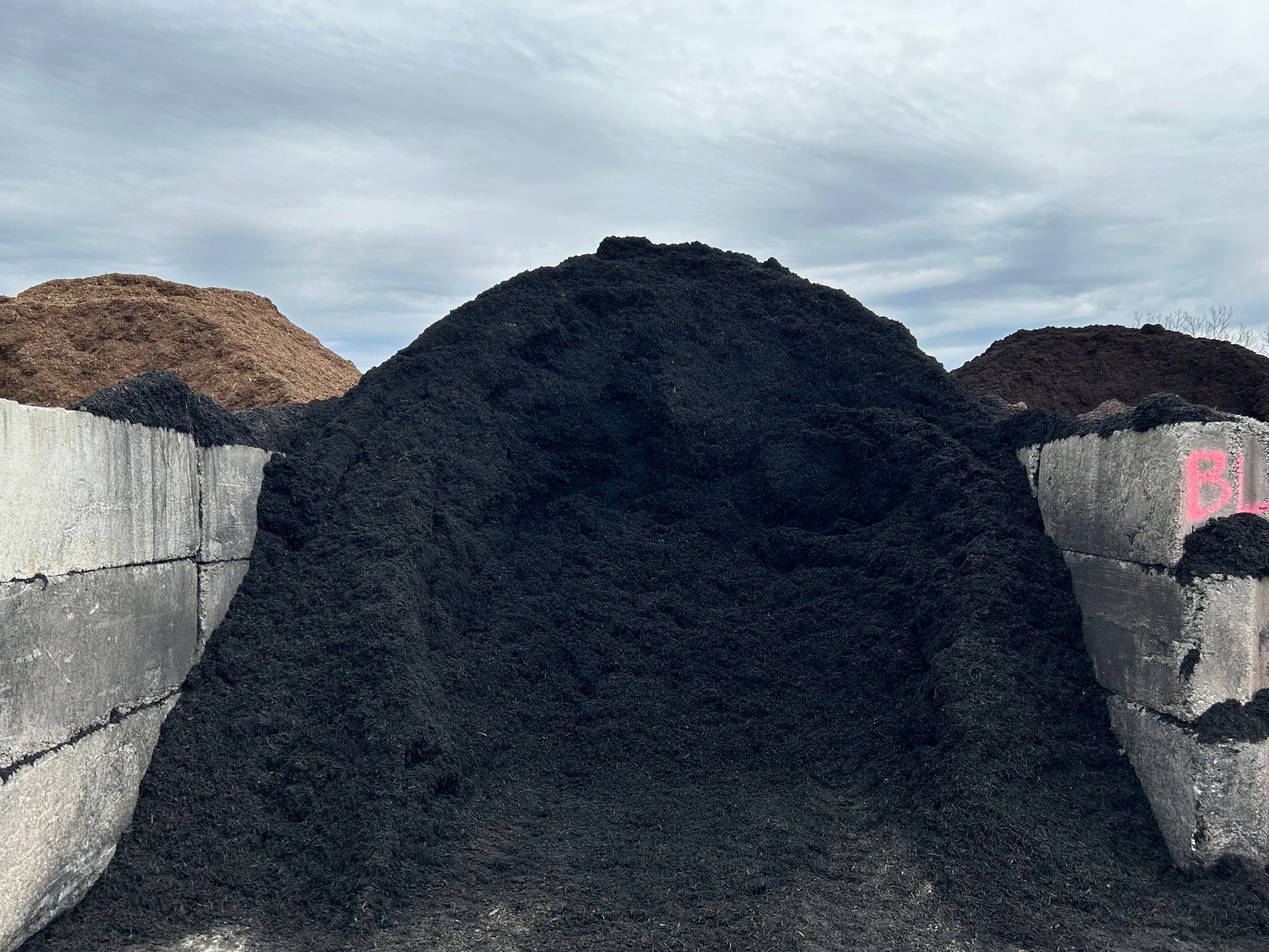 black mulch