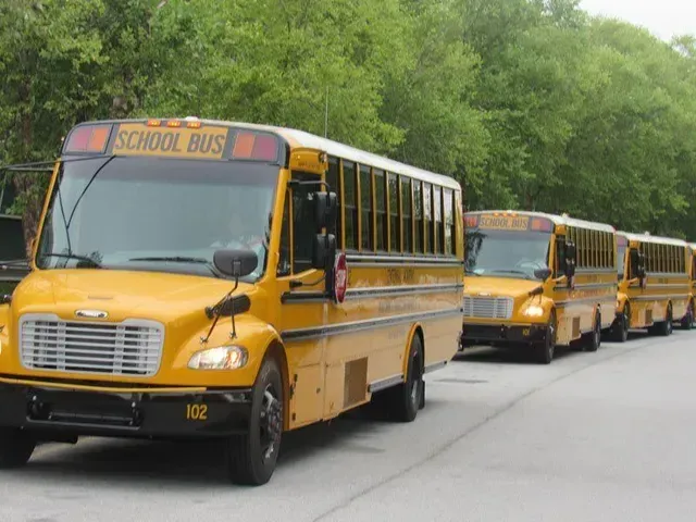 Yellow school buses lined up on a road, with trees in the background.