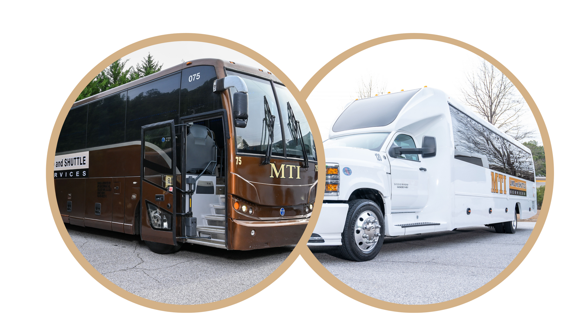 Two buses, one dark brown coach and one white shuttle, shown side by side in circular frames.